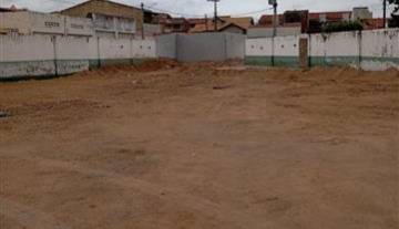 WhatsApp Image 2026-01-17 at 08.24.01.jpeg